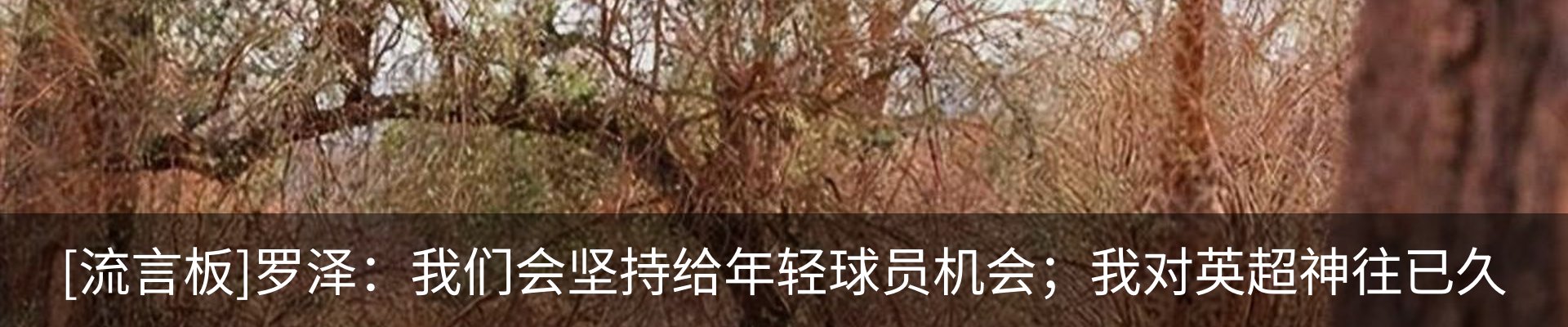 资讯中心
